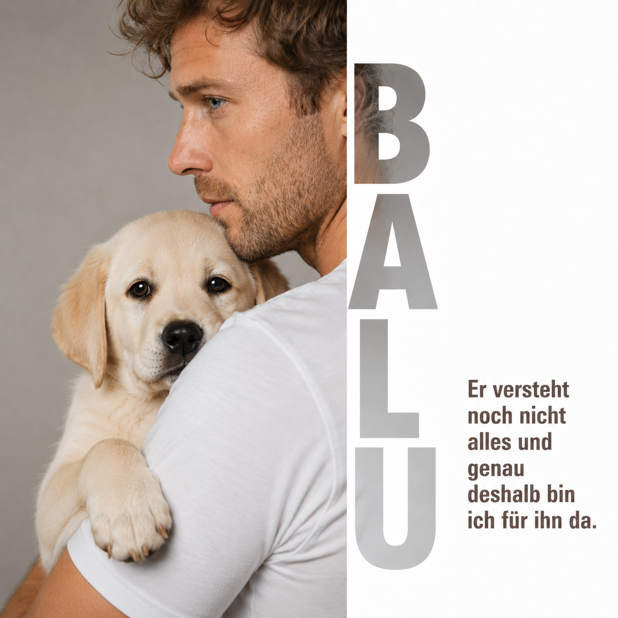 BelloSpot