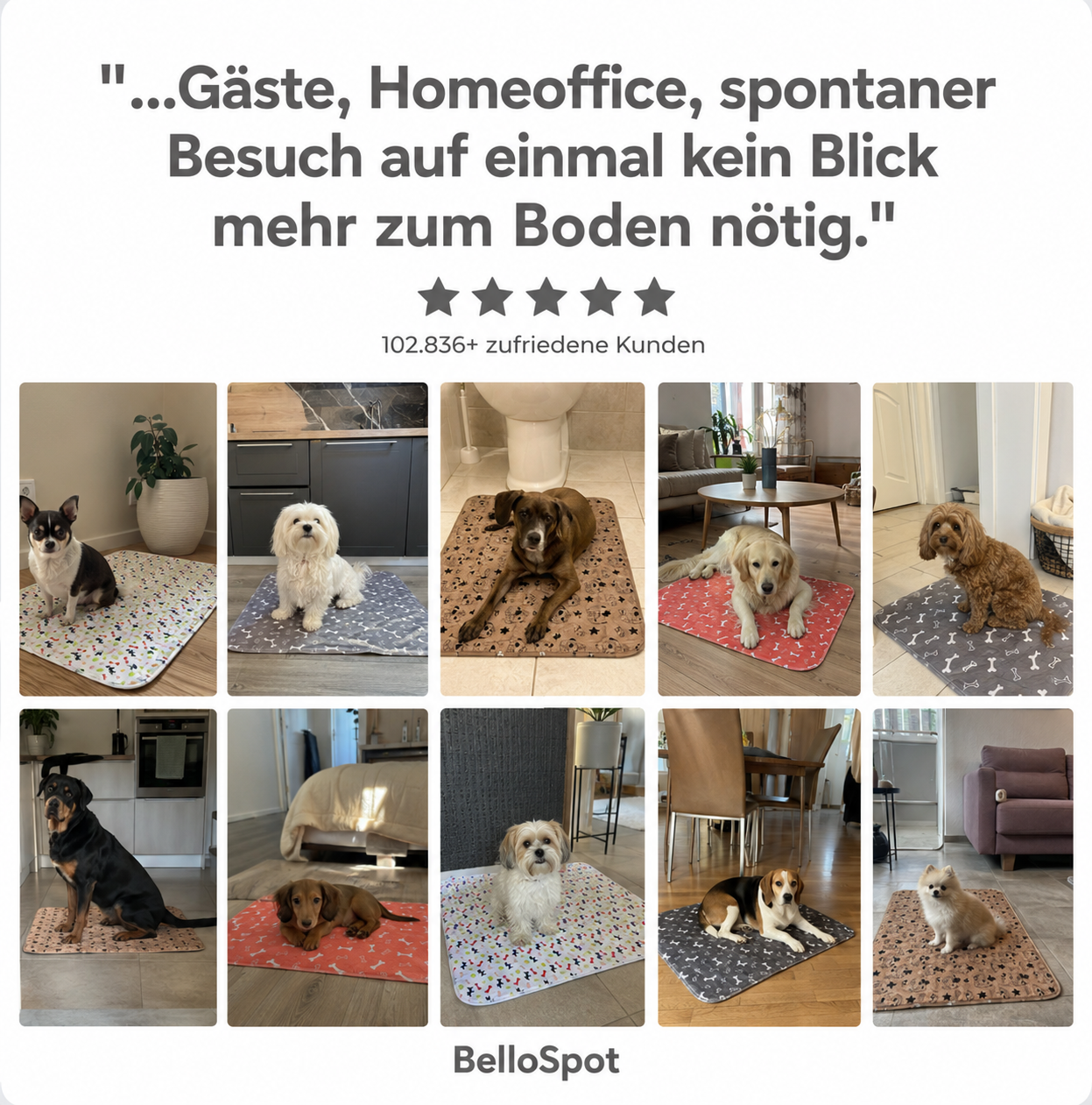 BelloSpot